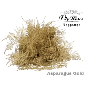 ASP OV 1E VEREN GOLD