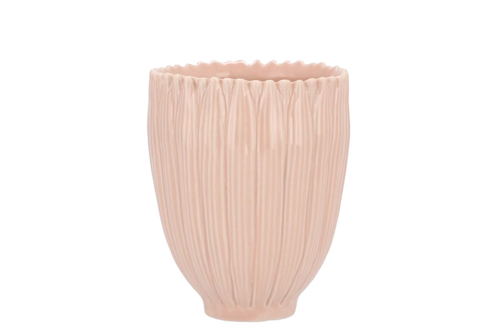 <h4>Bloom Daisy Dreamy Peach Cup 9x9x11cm</h4>