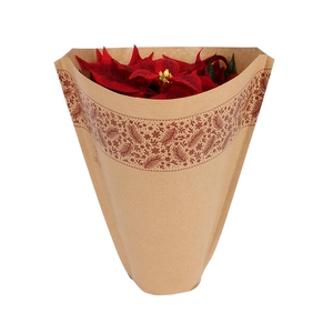 Hoes 36x35x12.5cm 45gr bruin kraft Festive Winter 1200/doos