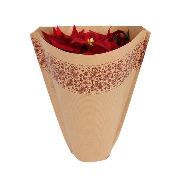 <h4>Hoes 36x35x12.5cm 45gr bruin kraft Festive Winter 1200/doos</h4>