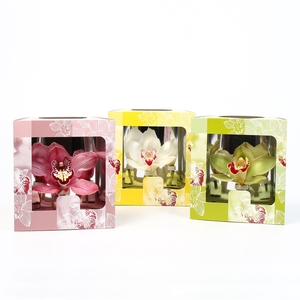 CYMB VERPAKT P BLOEM 8046