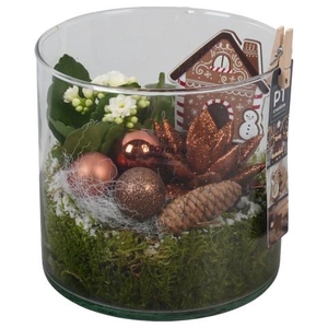 PTCHB9875 Arrangementen Kerst