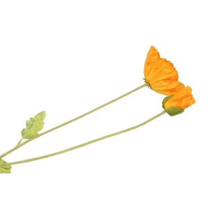Silk Papaver 2x Tak Light Orange 96cm Nm