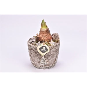 Cement pot kerstboom decor 15cm