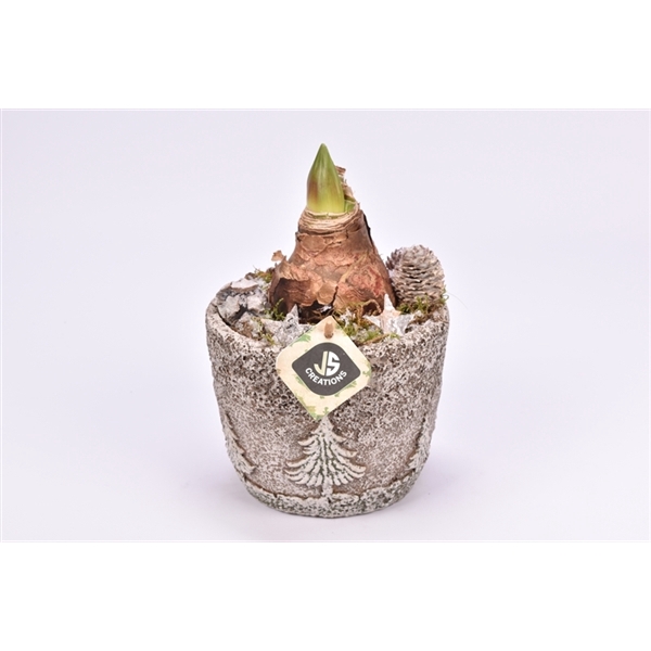 <h4>Cement pot kerstboom decor 15cm</h4>