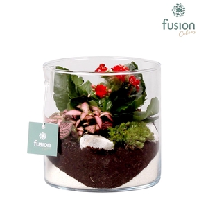 Glazen cilindervaas met Arrangement D15 H15