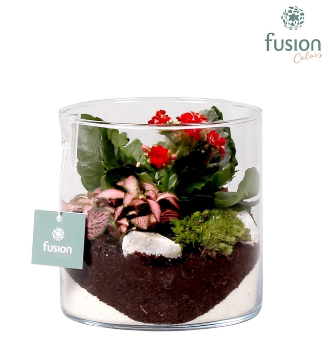 <h4>Glazen cilindervaas met Arrangement D15 H15</h4>