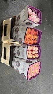 <h4>R GR GEM IN FUST</h4>