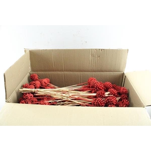 Droog Denn Rood In Doos