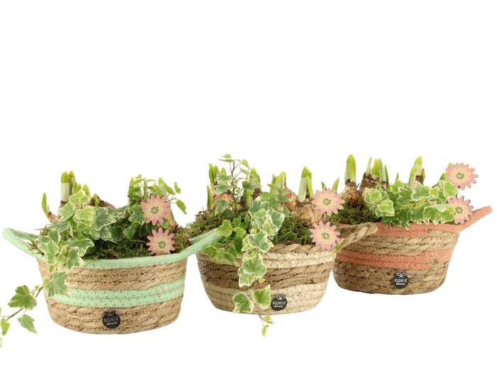 <h4>11658: Outdoor spring arrangement</h4>