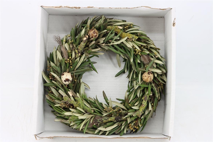 <h4>Wr Spring Mix Naturel 30cm</h4>