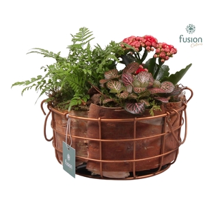 Metalen mand koper middel