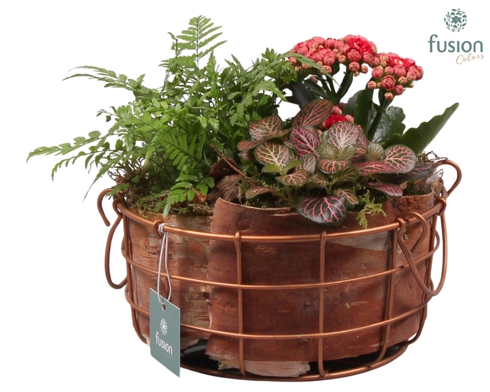 <h4>Metalen mand koper middel</h4>