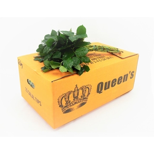 Salal Tips Queens