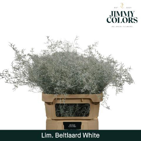 <h4>Lim Bel L90 White</h4>