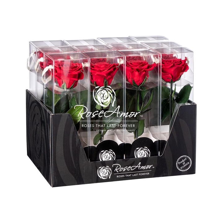 <h4>Display 20cm Stem Red02</h4>