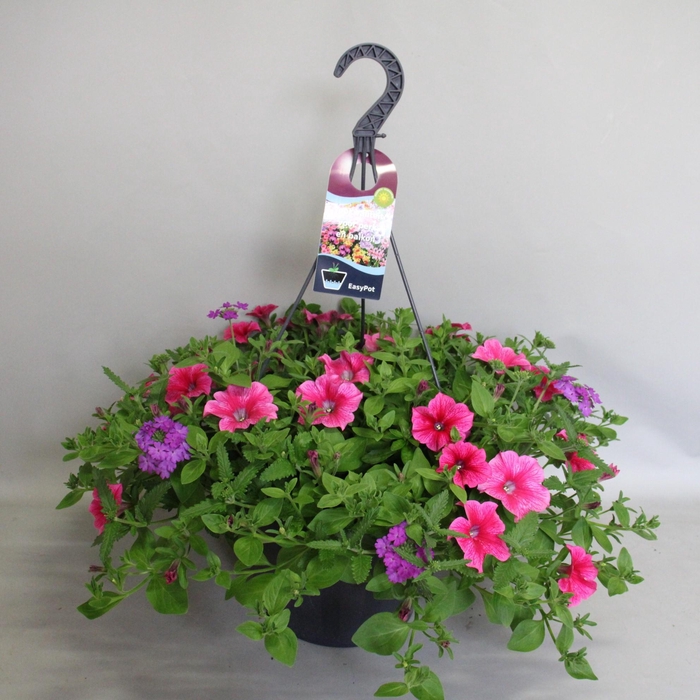 Hangpotten 37 cm met waterreservoir Mix 06 Hot Pink mix