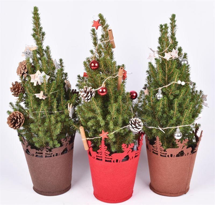 <h4>Kerst Vilt pot 17 CM</h4>