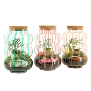 70916: Easter terrarium