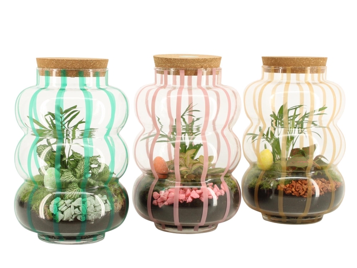 <h4>70916: Easter terrarium</h4>