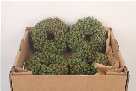 <h4>Krans Juniperis Berry Green 12cm</h4>