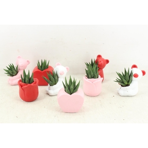 arr3 Demi - Litlle figure mix x30