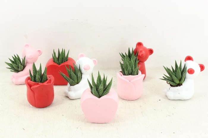 <h4>arr3 Demi - Litlle figure mix x30</h4>