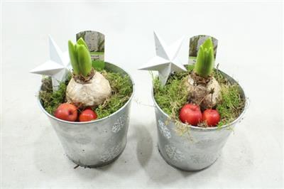 <h4>1165 ZINK MINI HYAC</h4>