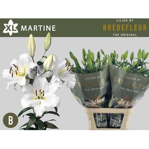 LI OT MARTINE