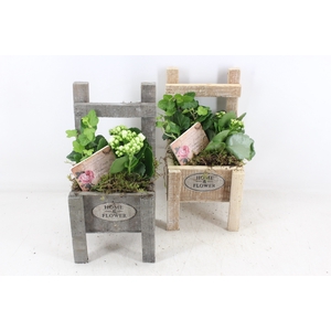 arr2 TD - Houten stoel - roze/wit