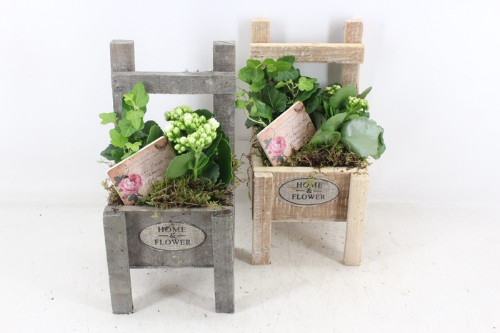 <h4>arr2 TD - Houten stoel - roze/wit</h4>