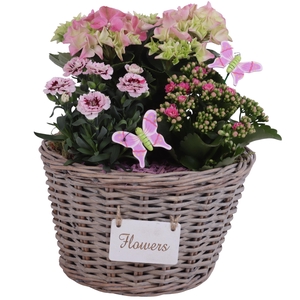 Spring Flower Arr. Outdoor Willow Basket Flowersign Ø27cm 3PP