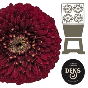 Germini Pomponi Black Pearl Diamond