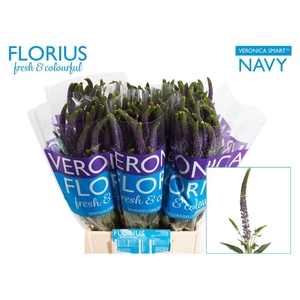 Veronica Smart Navy Florius