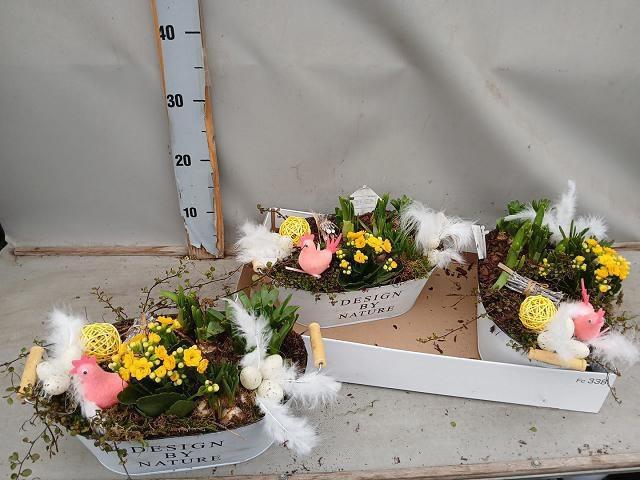 <h4>ARR BOL KNOLGEWAS</h4>