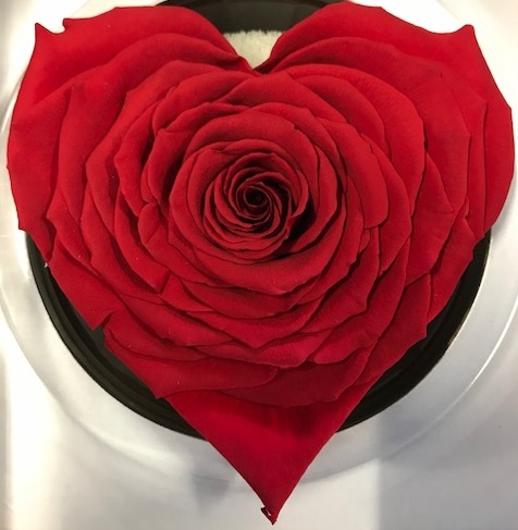 Hart XXL red-02