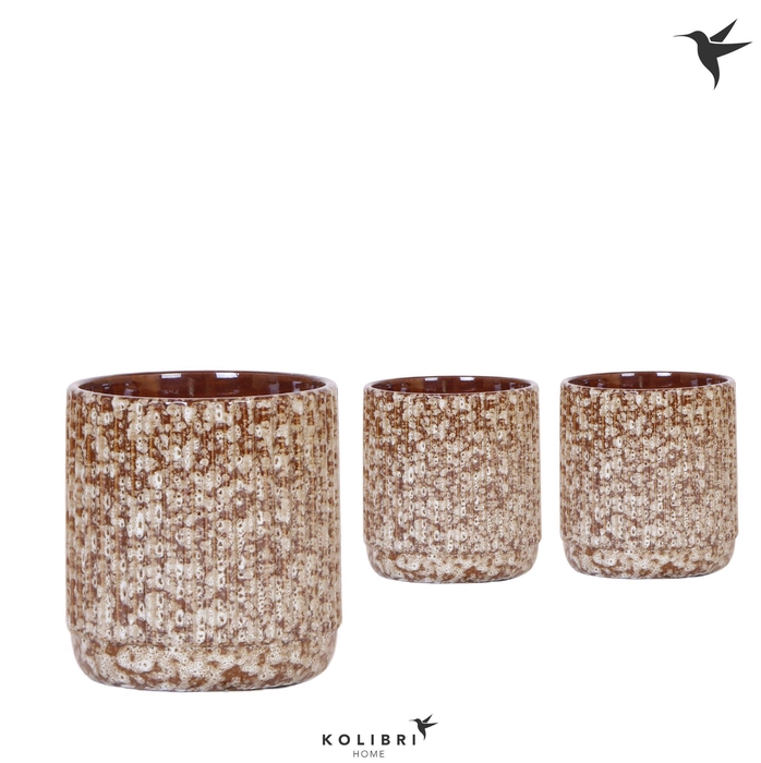 <h4>Kolibri Home Jaguar pot</h4>