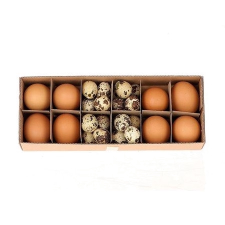 <h4>Easter Egg chicken/quail x8/24</h4>