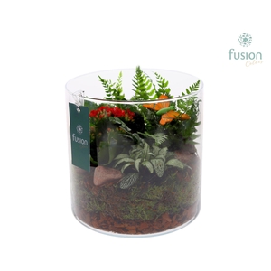 Glas Cilinder met Arrangement