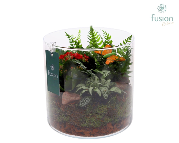 <h4>Glas Cilinder met Arrangement</h4>