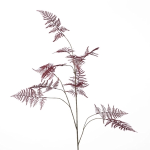 AF Asparagus Spray L137cm Red
