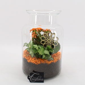 BACR-2506OR Basic fundamentals terrarium