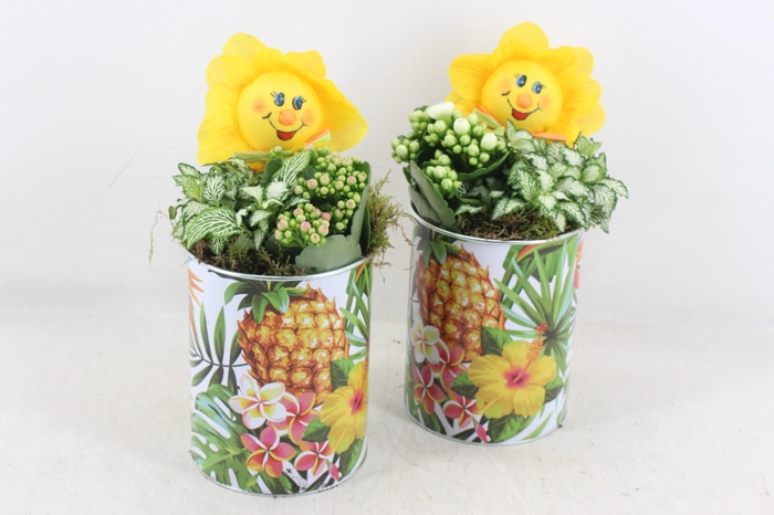 <h4>arr2 TD - Tropical tin can mix - roze/wit</h4>