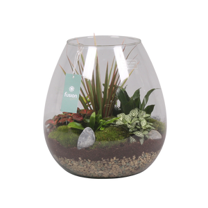 Green Bottle Abby XLarge met Groen Planten