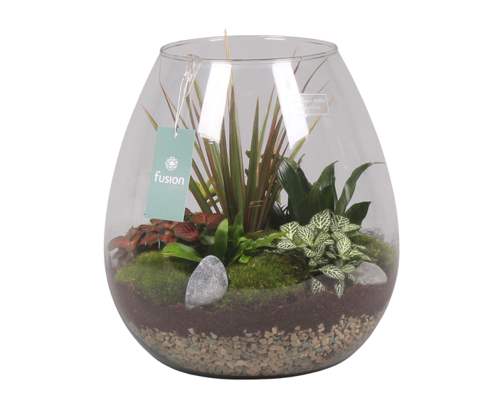 <h4>Green Bottle Abby XLarge met Groen Planten</h4>