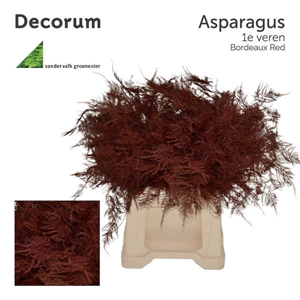 <h4>Asp 1e veren Bordeaux red</h4>
