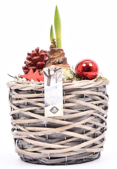 <h4>Wilg mand grijs 18cm</h4>