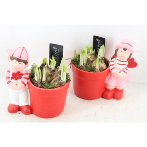 arr4 Narcis RN - Adorable kids