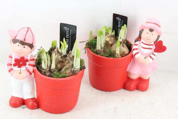 <h4>arr4 Narcis RN - Adorable kids</h4>