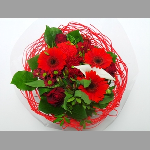 BQ Sisal Large Red